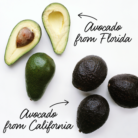 Calories In Avocados
