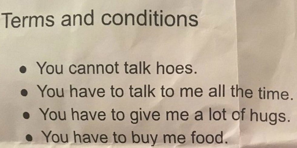 eighth-grader-defined-her-relationship-with-a-contract