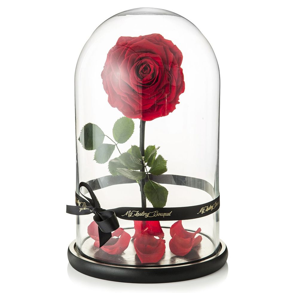 You Can Now Buy a Beauty and the Beast Rose That Lasts a Year