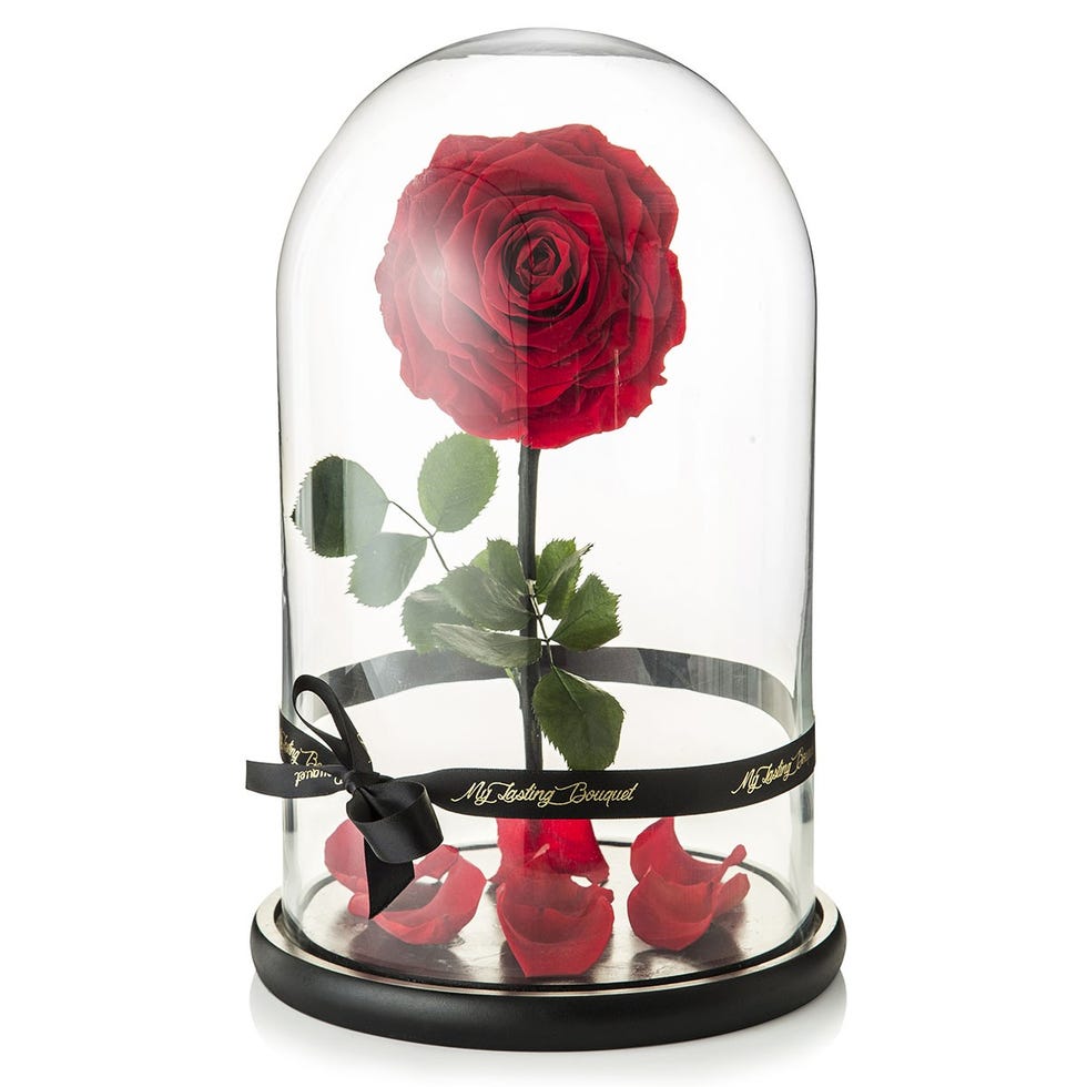 You Can Now Buy a Beauty and the Beast Rose That Lasts a Year You Can Now Buy a Beauty and the Beast Rose That Lasts a Year