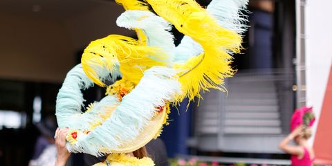 Yellow, Costume, Fur, Flag, Tradition, Festival, Dance, Carnival, Mascot, Glove, 