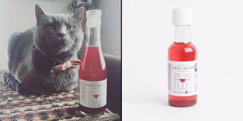 Liquid, Product, Glass bottle, Bottle, Red, Carnivore, Drinkware, Fluid, Small to medium-sized cats, Font, 