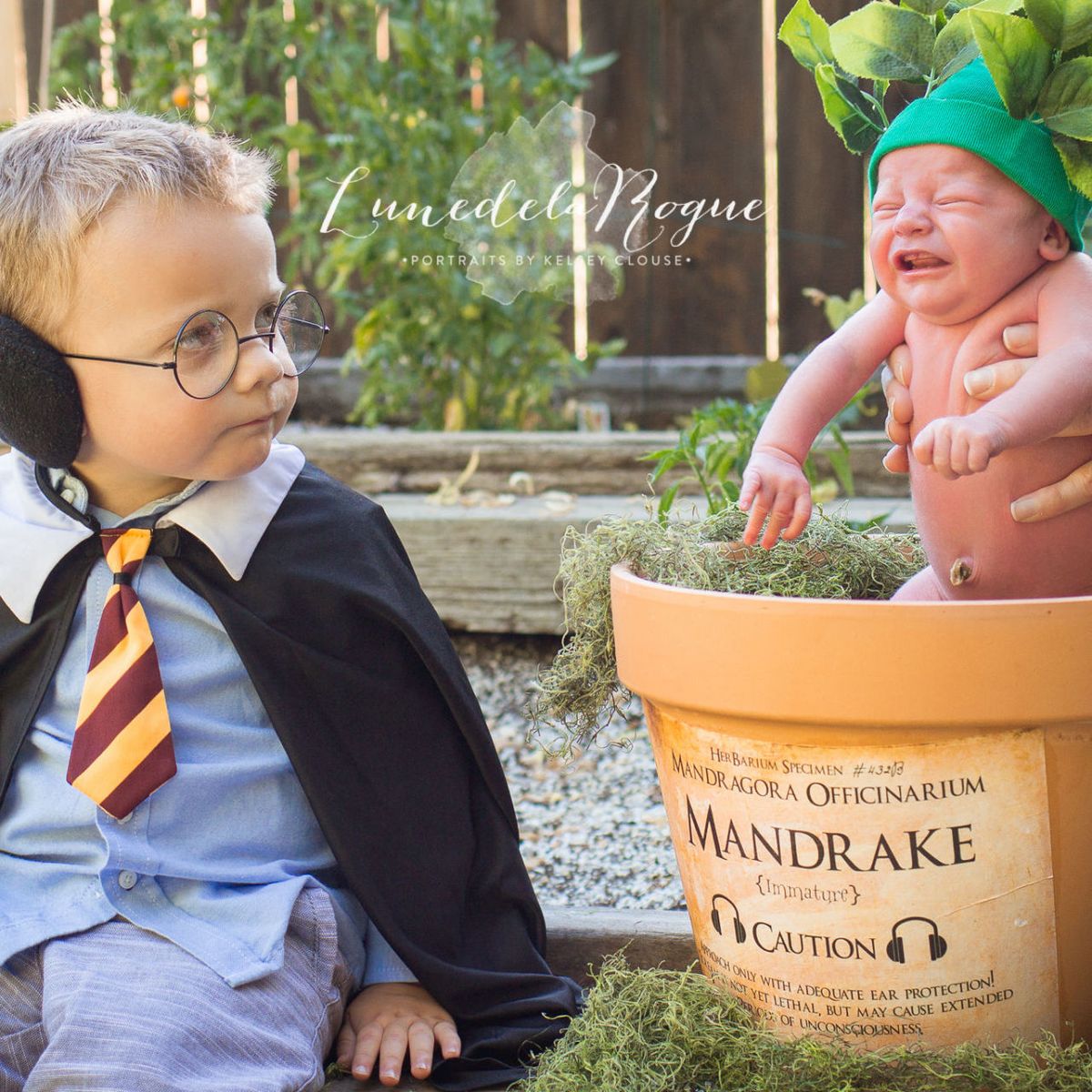 Harry Potter baby basket gift  Harry potter baby shower, Harry