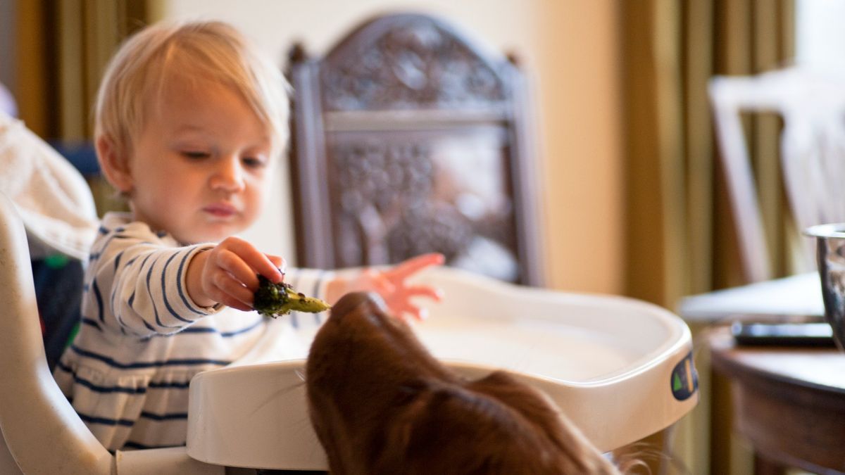 Baby & Toddler > Feeding - The Wild