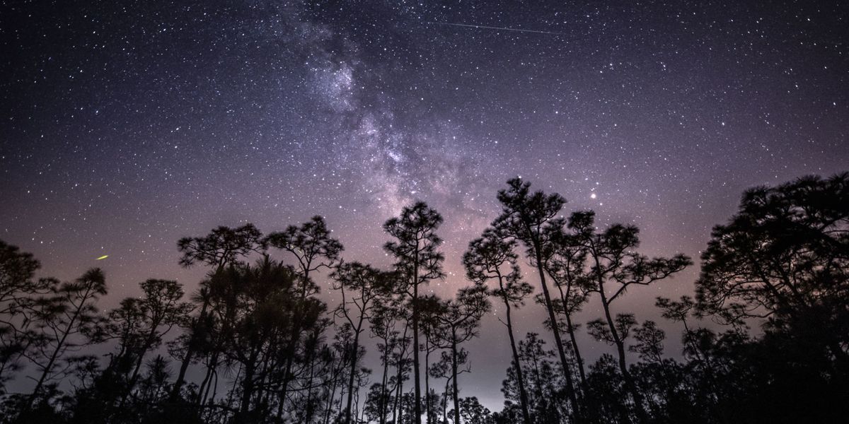 The Meteor Shower of the Decade Is Coming Next Week. Here's How to See It.