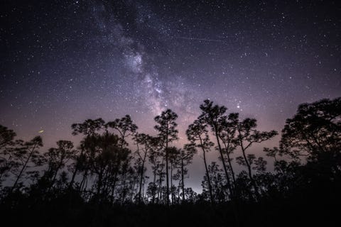 The Meteor Shower of the Decade Is Coming Next Week. Here's How to See It.