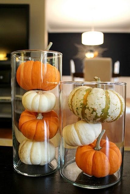 Squash, Calabaza, Orange, Vegetable, Winter squash, Produce, Local food, Pumpkin, Gourd, Natural foods, 