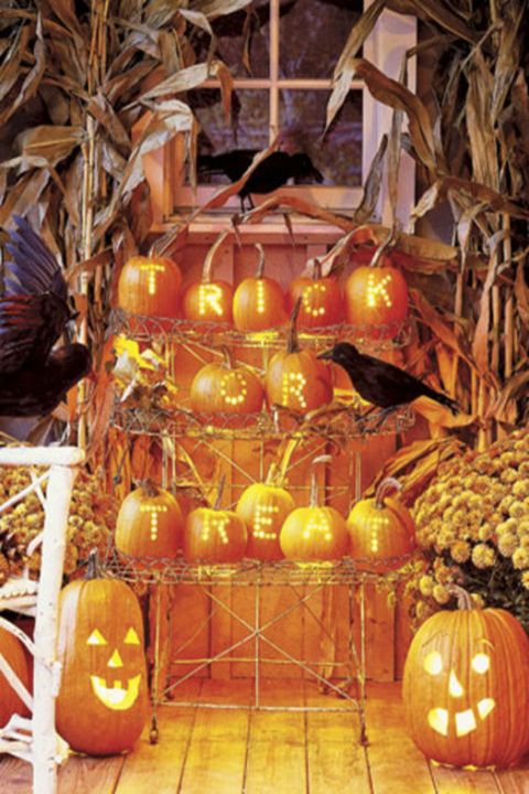 The best fall pumpkin decorating ideas.