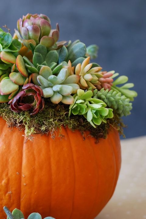 The best pumpkin decorating ideas for fall.