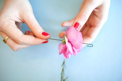 Pink, Nail, Finger, Flower, Hand, Petal, Plant, Fashion accessory, Manicure, Nail care, 