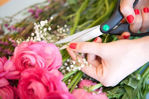 Nail, Bouquet, Flower, Pink, Hand, Flower Arranging, Floristry, Plant, Floral design, Finger, 