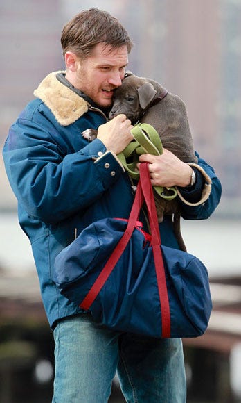 image While on set of <i>Animal Rescue</i>, Tom Hardy was put on dog duty. Man do we wish we were that pup right now.