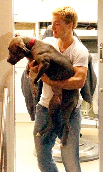 image Not sure what's better to look at: Josh's bulging triceps or the adorable doggy in his arms.