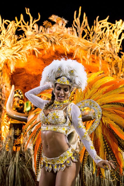 Rio Carnival 14 Pictures Brazilian Carnival Costumes 14