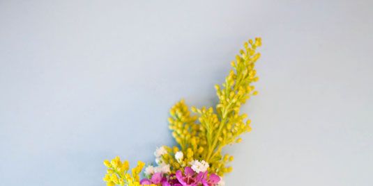 Flower, Cut flowers, Plant, Yellow, Pink, Botany, Wildflower, Flowering plant, Artificial flower, Plant stem, 
