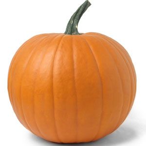 Image result for pumpkin