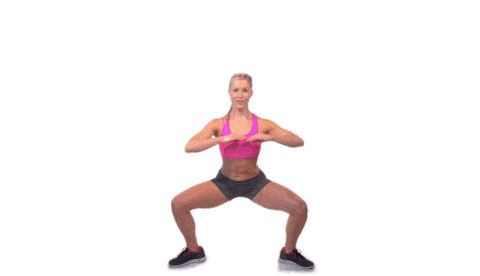 wide+stance+pile+squats.gif