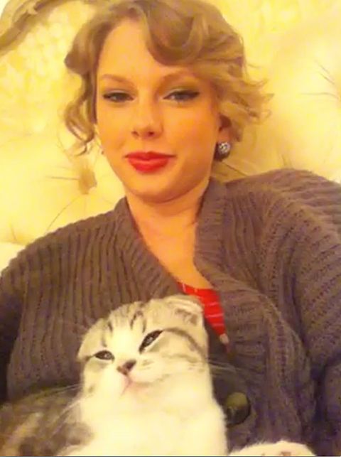 Times Taylor Swift Looked Exactly Like Her Cat