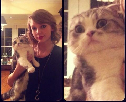 Times Taylor Swift Looked Exactly Like Her Cat