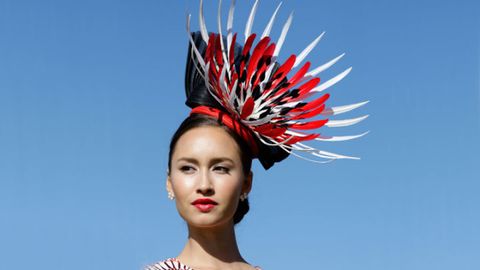 Lip, Hairstyle, Eyelash, Hair accessory, Style, Headpiece, Colorfulness, Headgear, Costume accessory, Feather, 