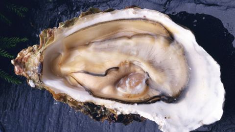 Oyster, Bivalve, Food, Ingredient, Seafood, Shellfish, Natural material, Shell, Abalone, Molluscs, 