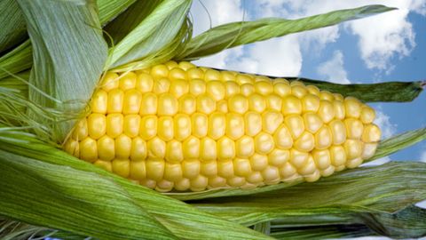 Corn kernels, Corn, Food, Yellow, Ingredient, Natural foods, Vegan nutrition, Vegetable, Sweet corn, Produce, 