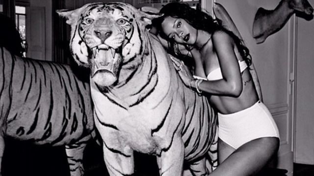 Those Tinder Tiger Selfies Might Be Illegal