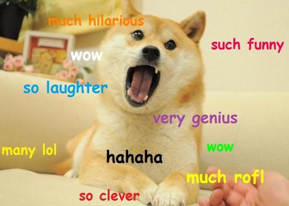 Doge Meme Porn - So, this woman can't stop quoting Doge memes while she's having sex