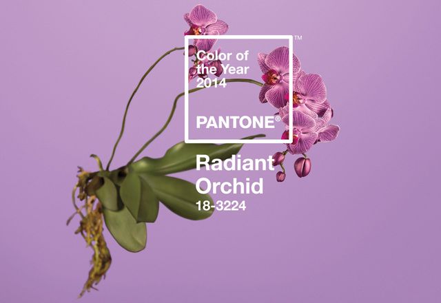 The colour trend of 2014? Pantone Radiant Orchid pale purple