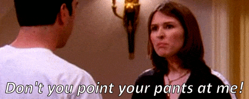 Ross and Emily in Friends saying Dont you point your pants at me
