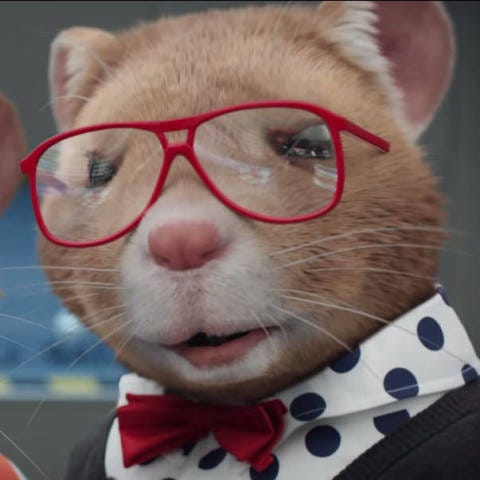 Sexy dancing hamsters are a thing now Sexy dancing hamsters are a thing now