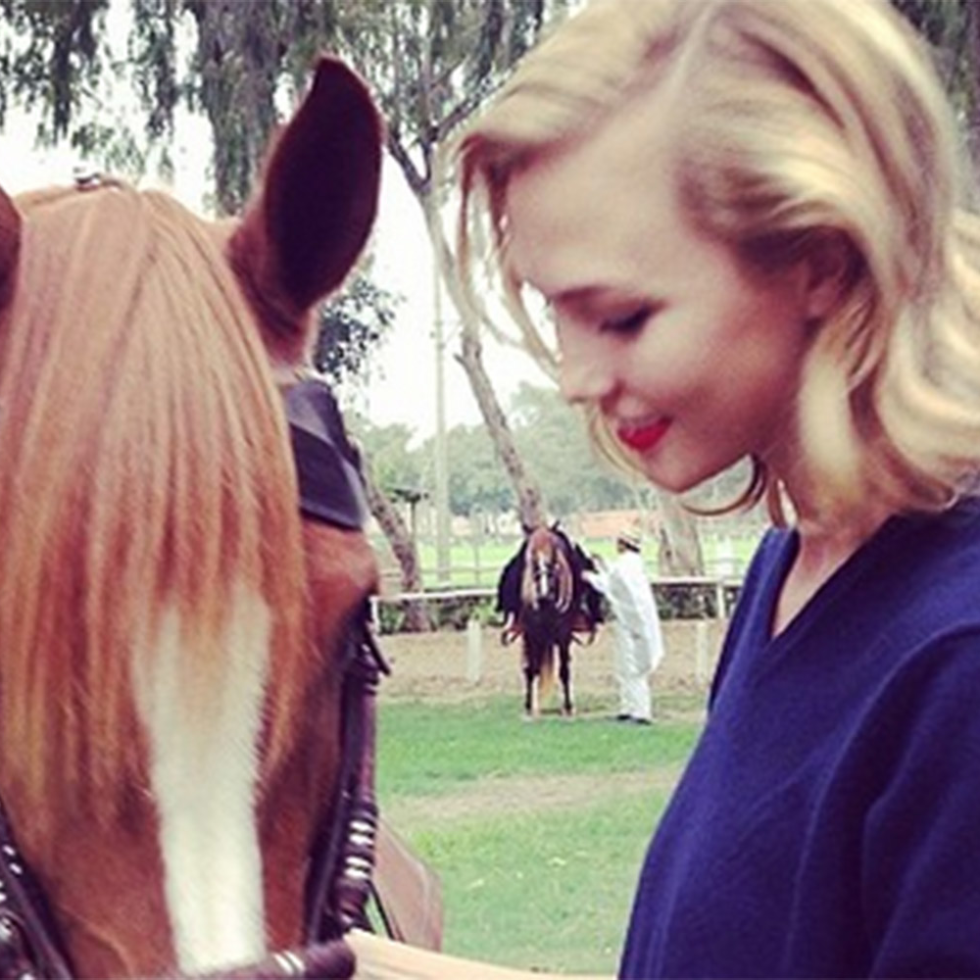 Horse shampoo for outlet human hair growth