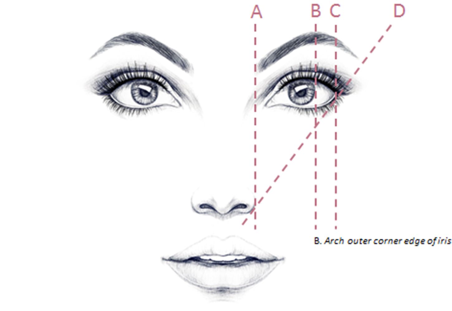 How To Shape Your Eyebrows - Simple Shaping Rules