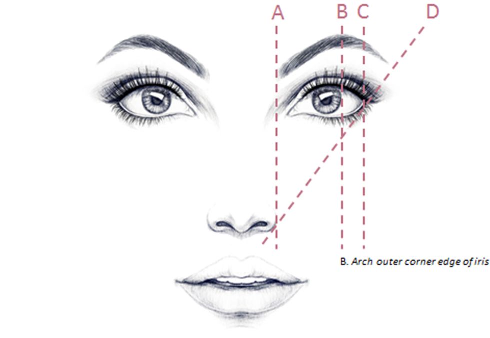 perfect eyebrow arch diagram