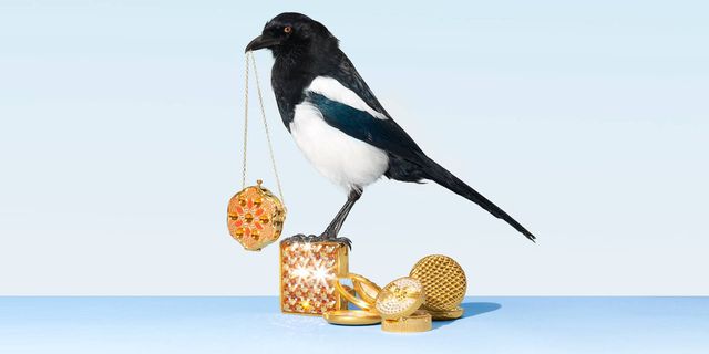 Magpie standing on pretty makeup - confessions of a makeup magpie - cosmopolitan.co.uk