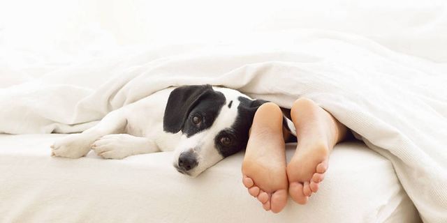 Why you should never neglect your feet in winter - foot care tips from a podiatrist - Cosmopolitan.co.uk