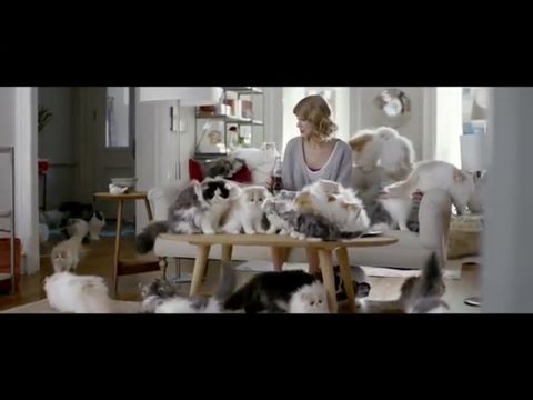 Taylor Swifts New Cat Filled Advert For Diet Coke Is Truly