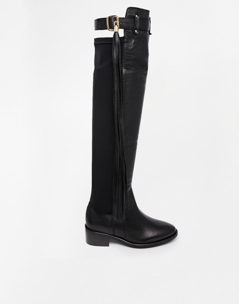 Boot, Riding boot, Black, Leather, Costume accessory, Knee-high boot, Rain boot, Motorcycle boot, Synthetic rubber, 