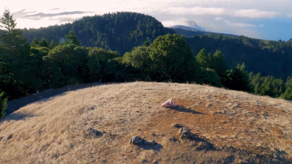 Drone Boning: a kind of pretty porn film