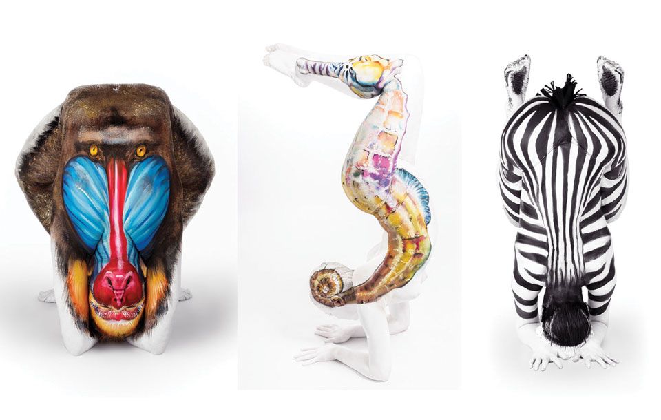 Zebra, Organism, Organ, Terrestrial animal, Illustration, Wildlife, Drawing, Serpent, Tongue, Graphics, 