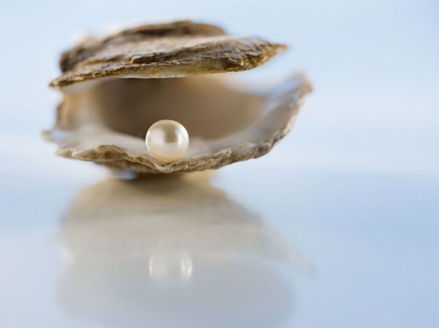 A Swedish campaign is on the hunt for a new term for female masturbation - oyster pearl