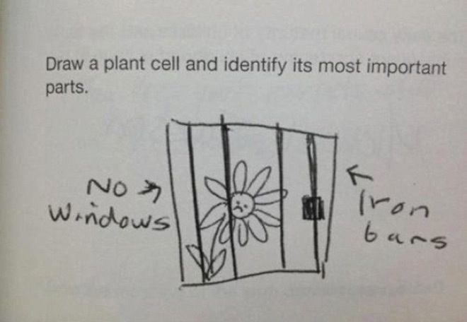 best funny exam answers fails