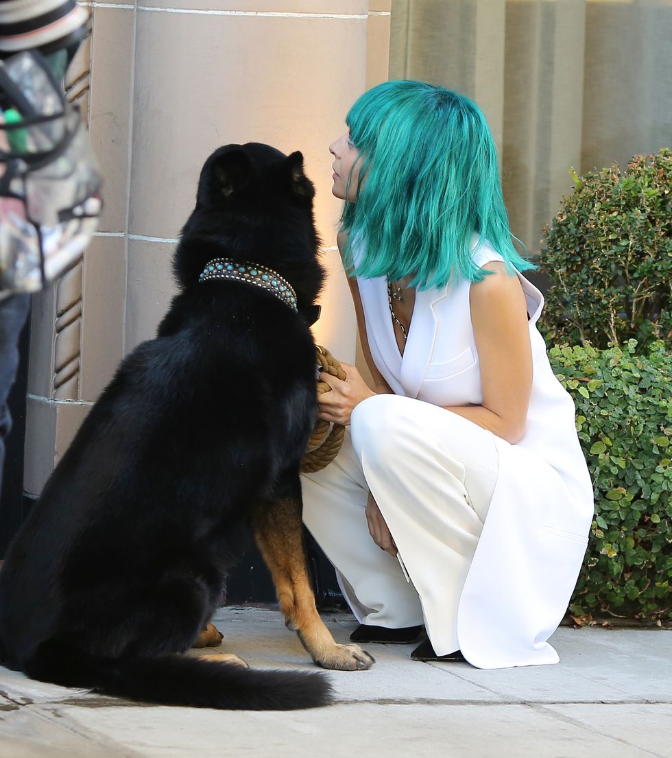 Nicole Richie's cool turquoise lob is a thing of utter beauty