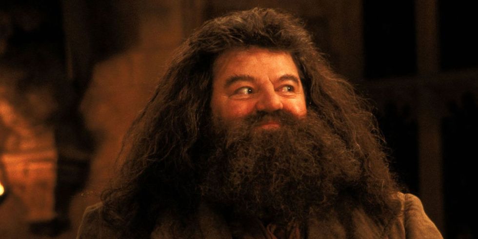 J K Rowling Has Revealed That Hagrid Was A Sad Sad Man And Its Made