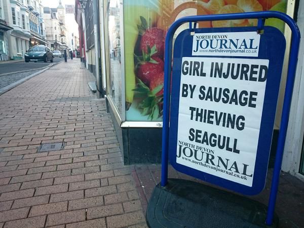 funny local headline seaside