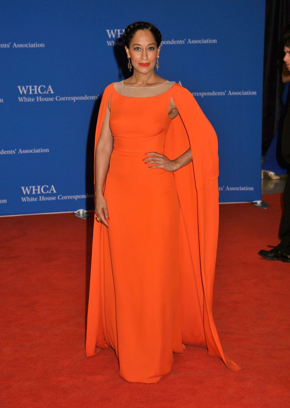 Tracee Ellis Ross at the White House Correspondents Dinner 2015