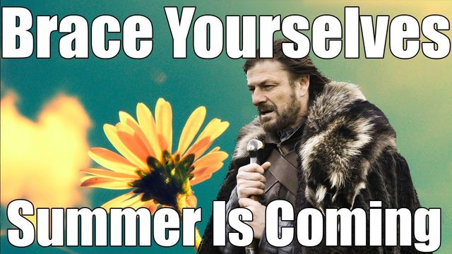 summer is coming game of thrones