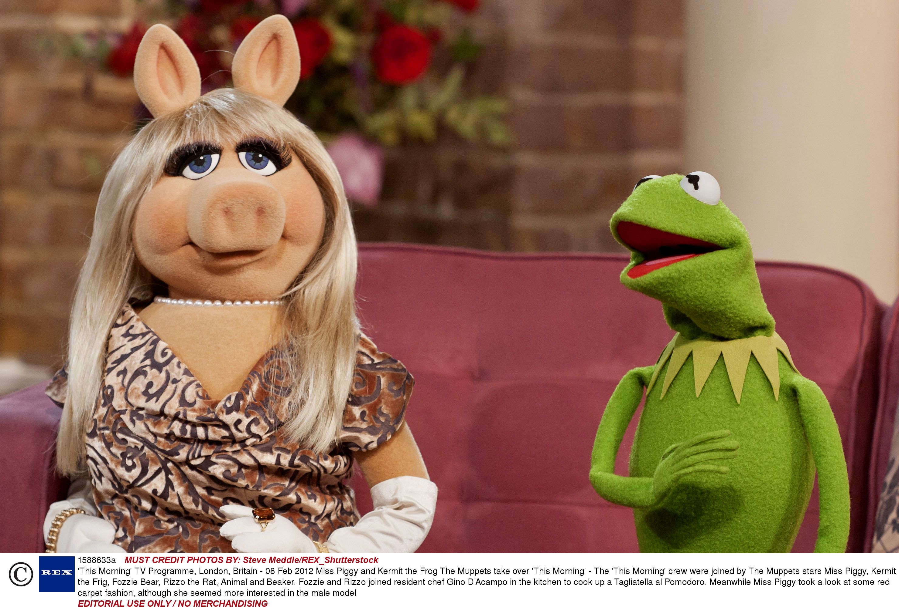 Forum on this topic: And The Feminist Award Goes ToMiss Piggy , and-the-feminist-award-goes-tomiss-piggy/ Forum on this topic: And The Feminist Award Goes ToMiss Piggy , and-the-feminist-award-goes-tomiss-piggy/