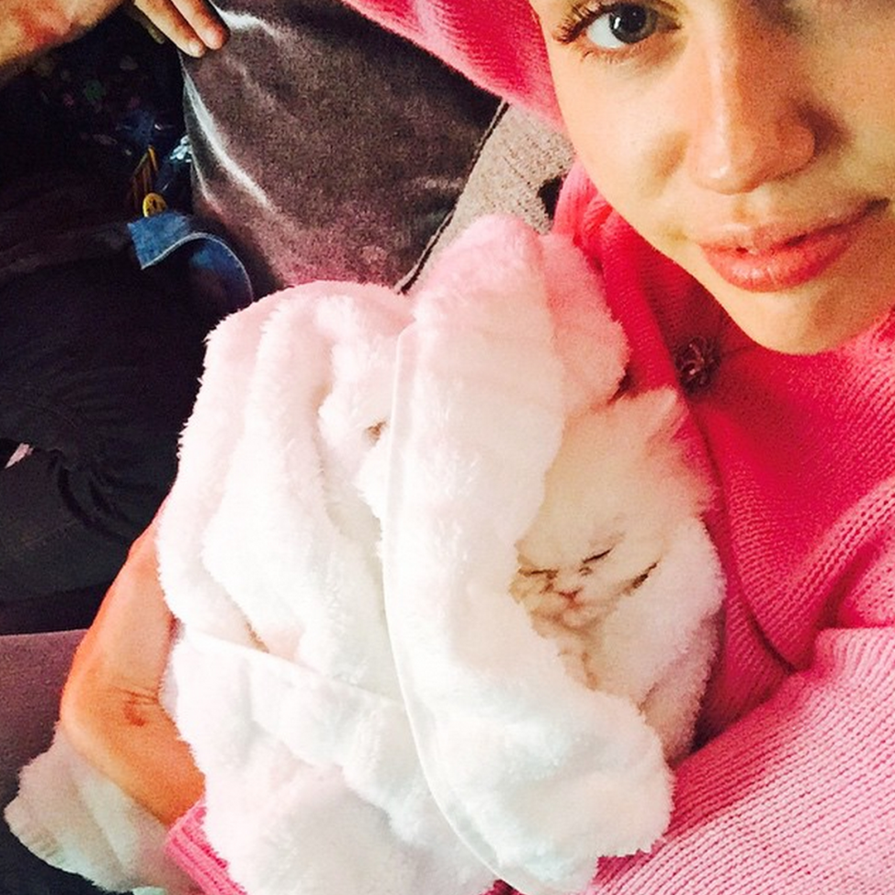 Miley Cyrus New Kitten Is So Cute That It Might Make You Weep