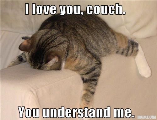 I love you couch meme
